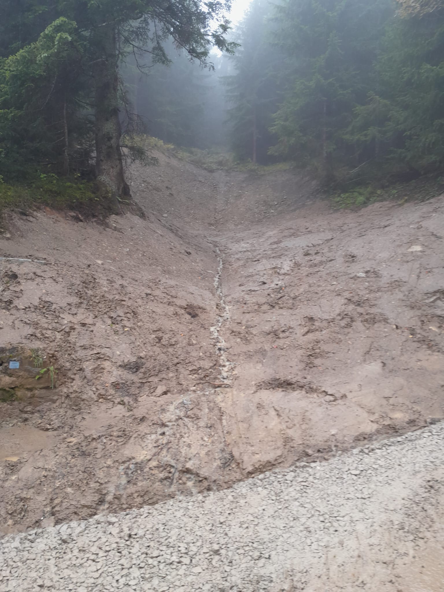 67b6f5f7-4e9c-405f-ae7c-4b437b311efd